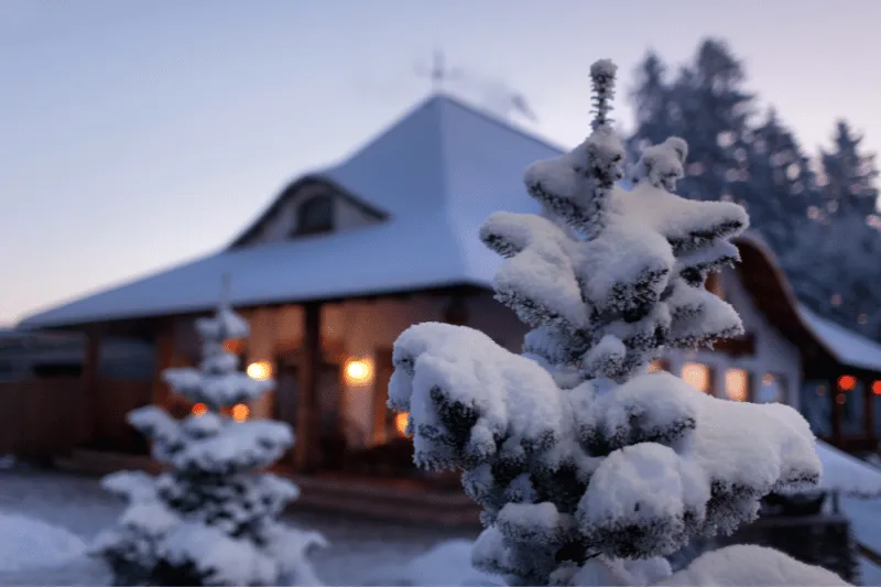 Snowy House